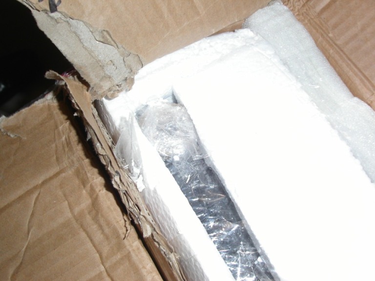 PICT4972.JPG