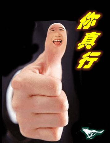 20080710_10c8fa5063c9f0dd5352iPuvBipfT4e7.gif