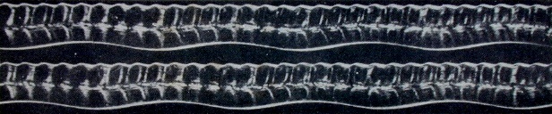 386.JPG