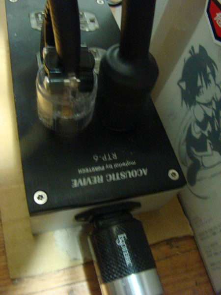 DSC01250.jpg