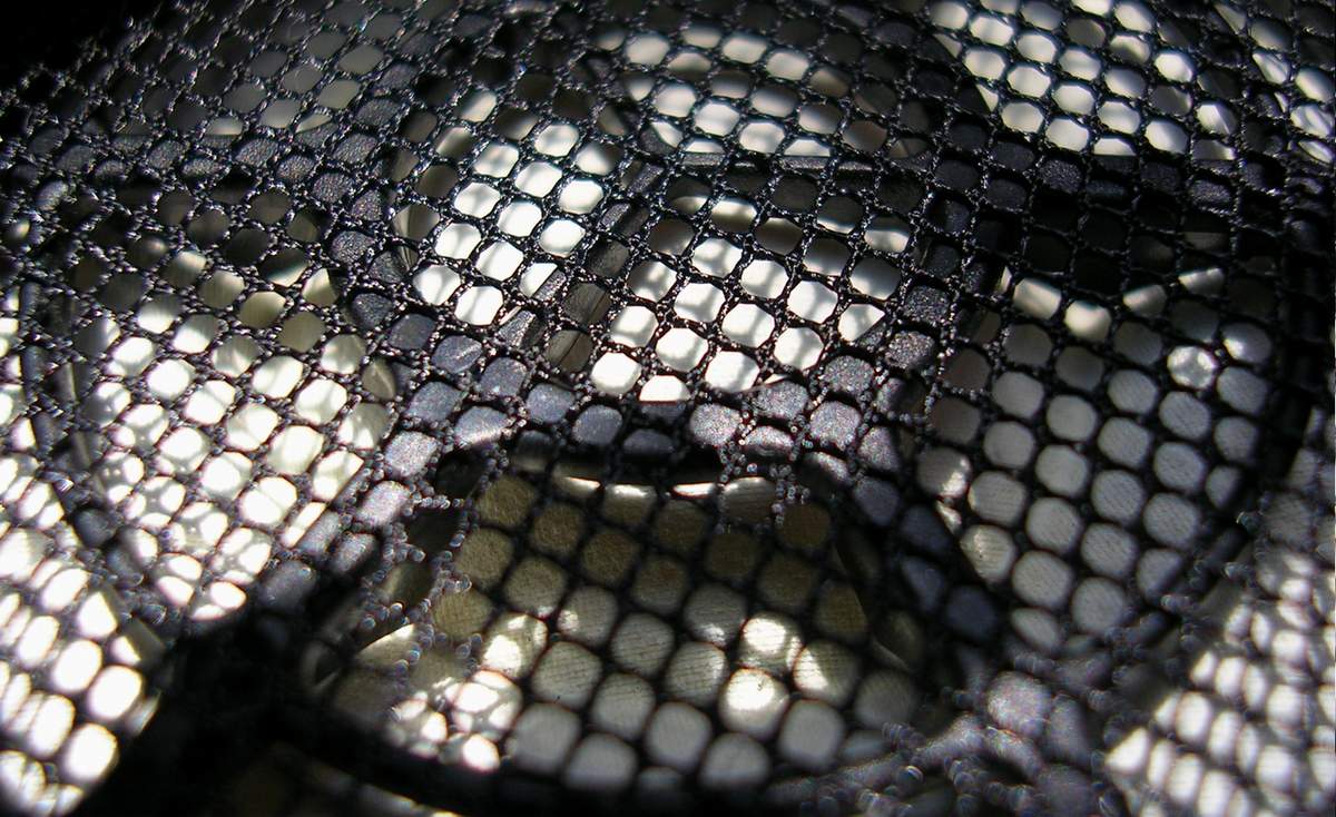 DSCN1236.JPG