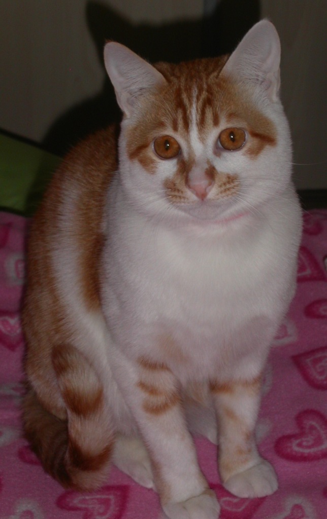 PICT0775.JPG