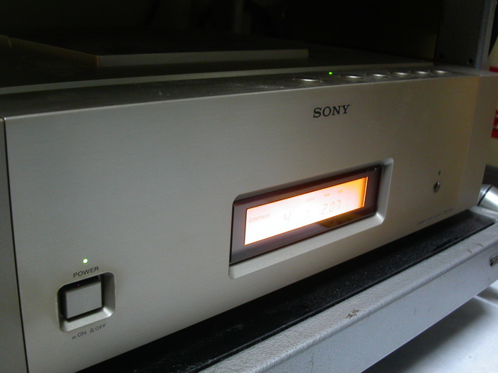 PICT0252_resize.JPG