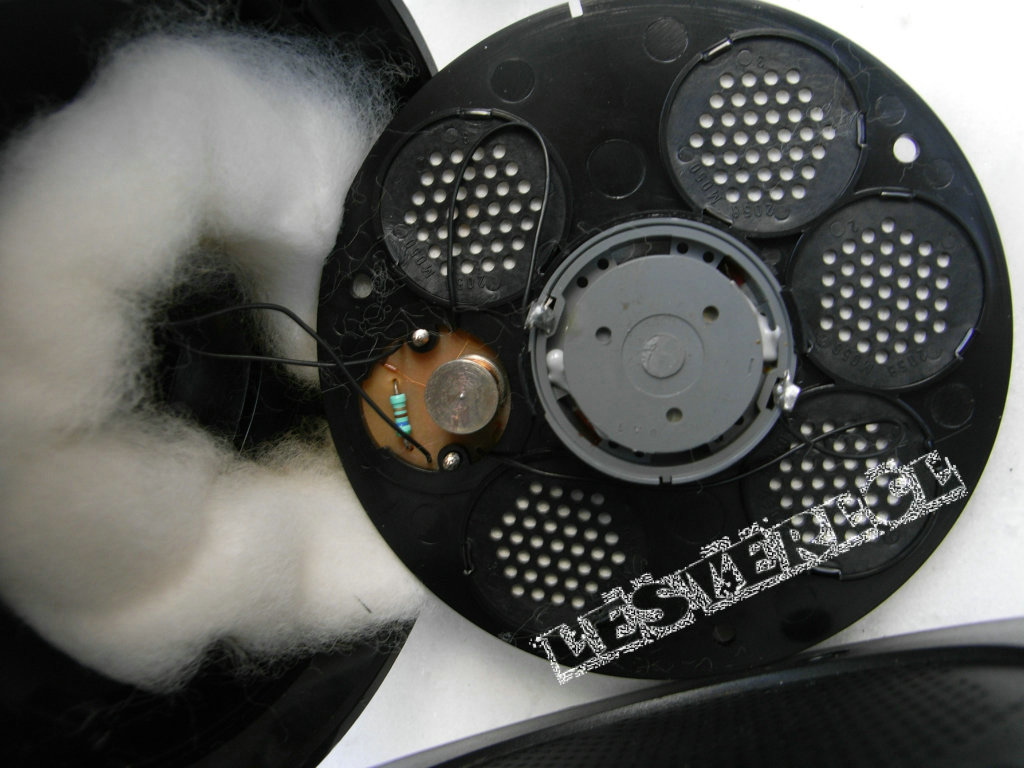 RIMG0404.JPG