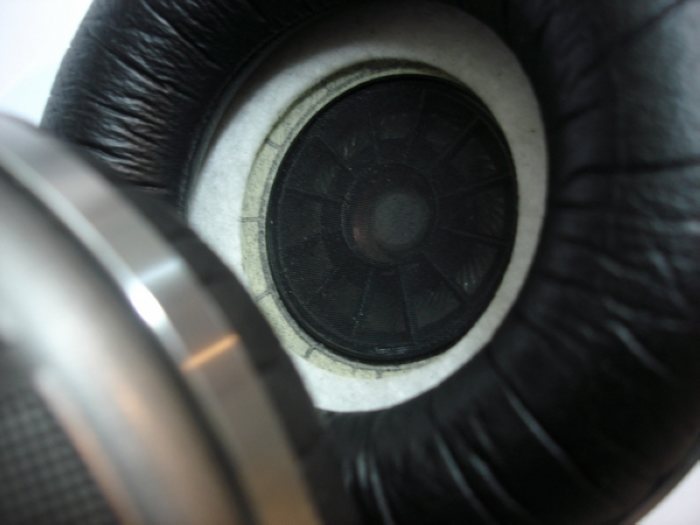 nEO_IMG_DSC00010.jpg