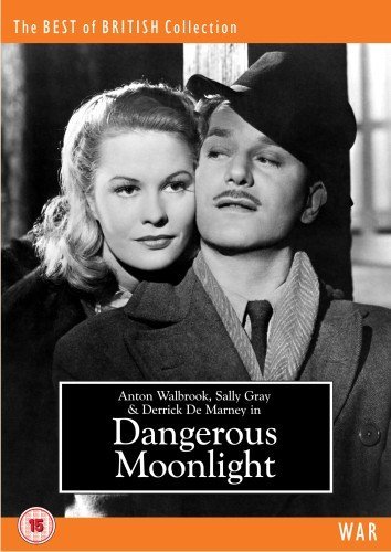 dangerous moonlight 2.jpg