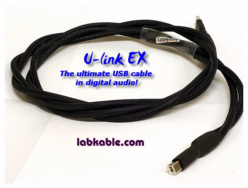 ulinkex3.jpg