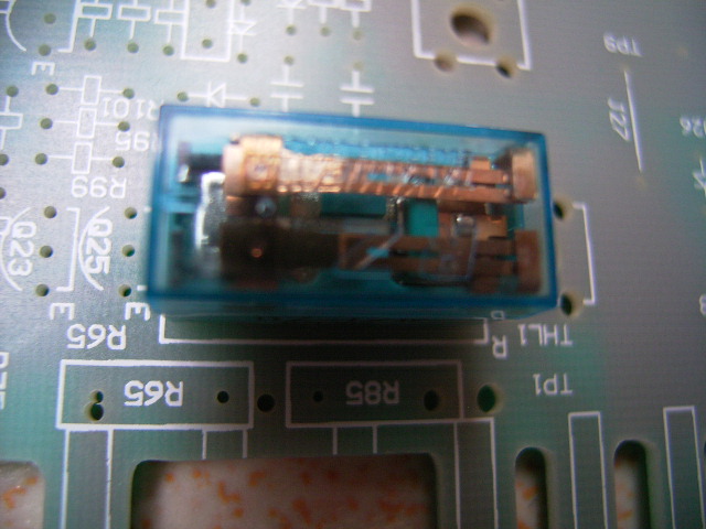 RIMG1263.JPG