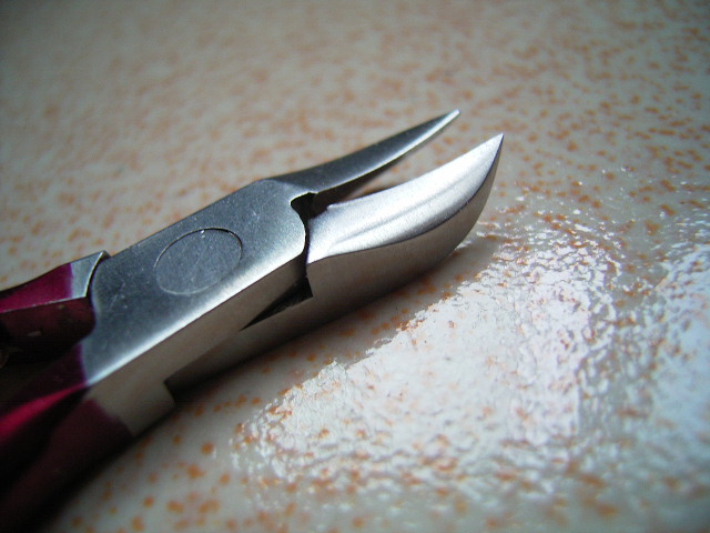 RIMG1304.JPG