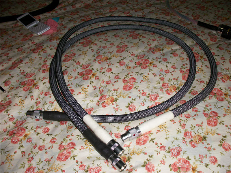 alim0016_.jpg