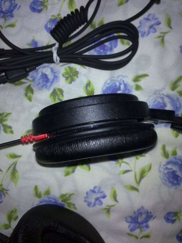20110808933.jpg
