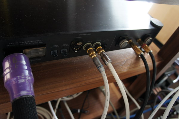 Back Panel.jpg