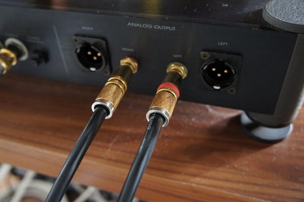 Analog Output.jpg
