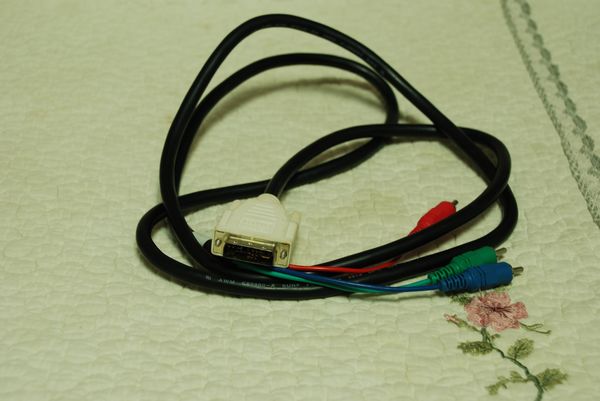 nEO_IMG_DSC_5855.jpg