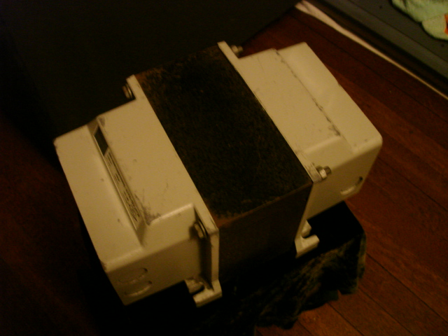 DSC06263.JPG