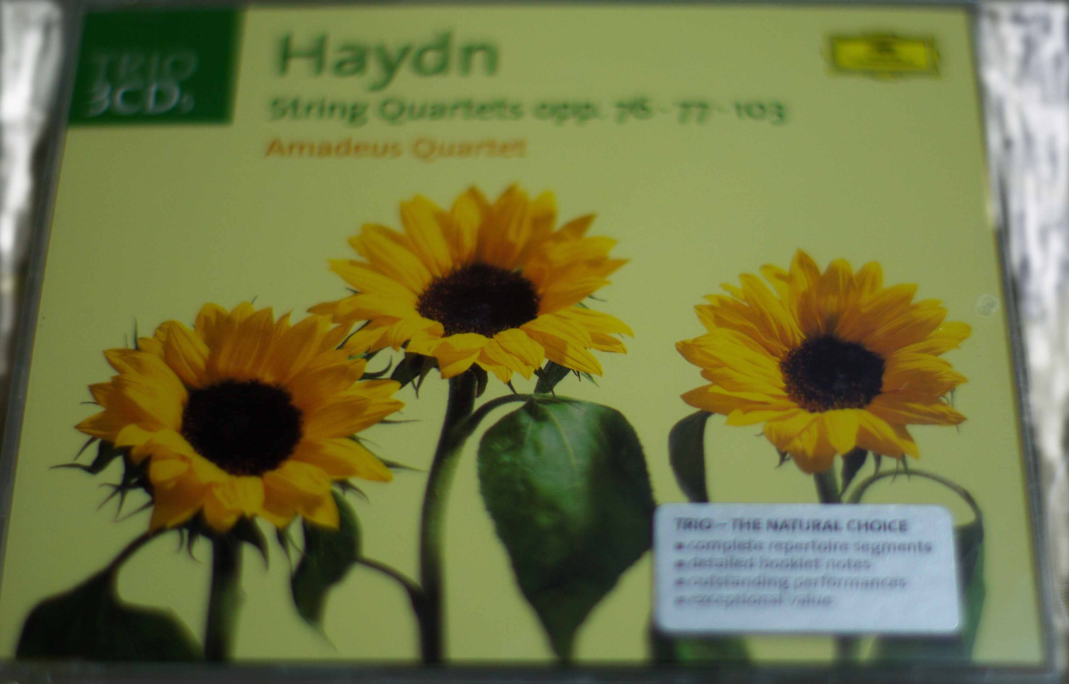 hyden.jpg