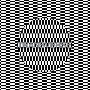 carter-tutti-void-transverse.jpg