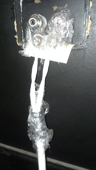 IMAG0534.jpg