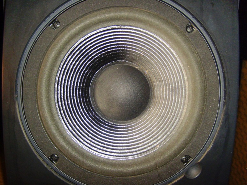 S7008531.JPG