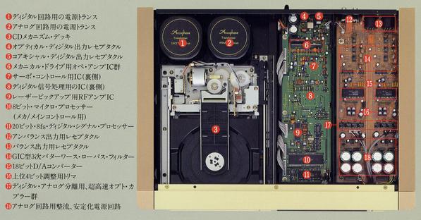 dp-11(1).jpg