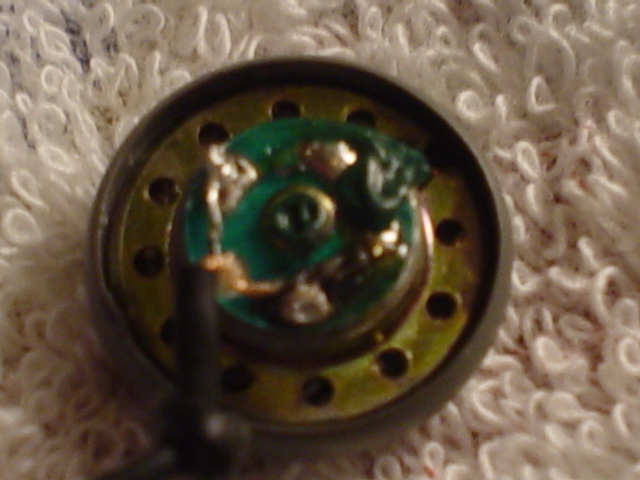 DSC03984_gjO72ASRDhCO.jpg