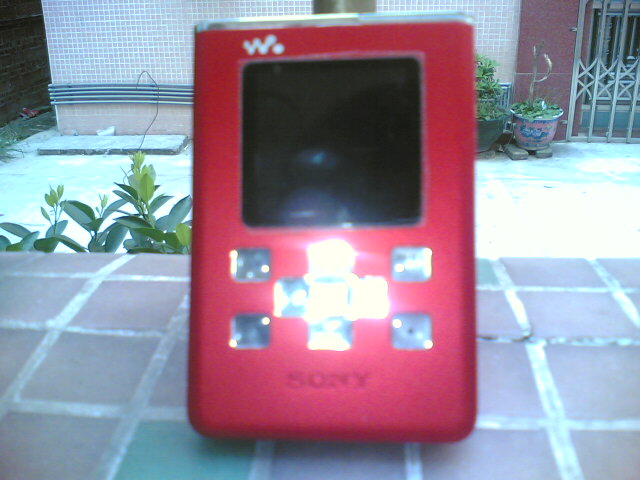 20060817.jpg