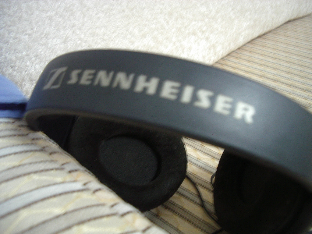 IMGP0484.JPG