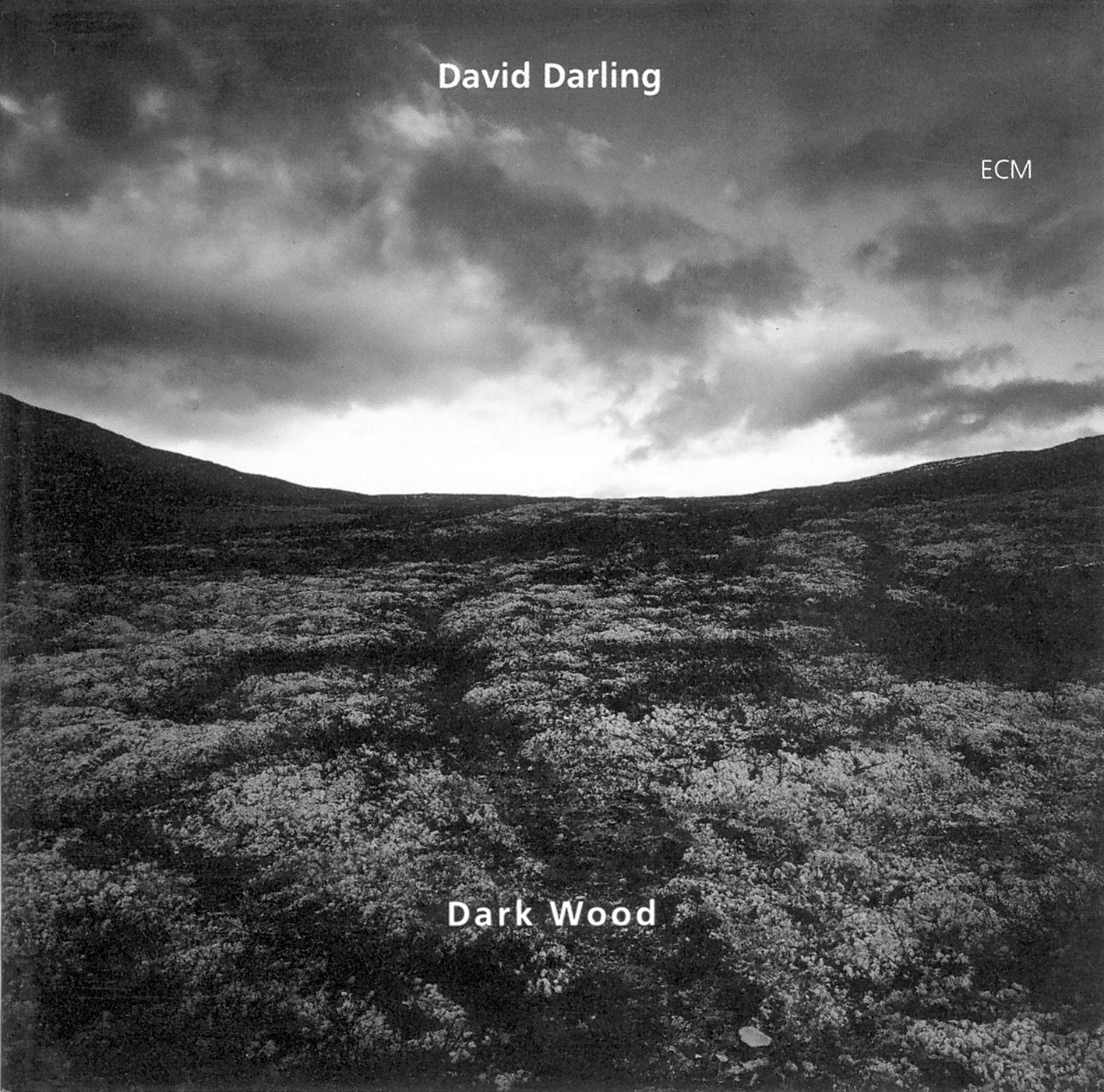 Dark Wood (Front).jpg
