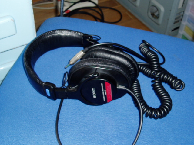 P1010011.JPG
